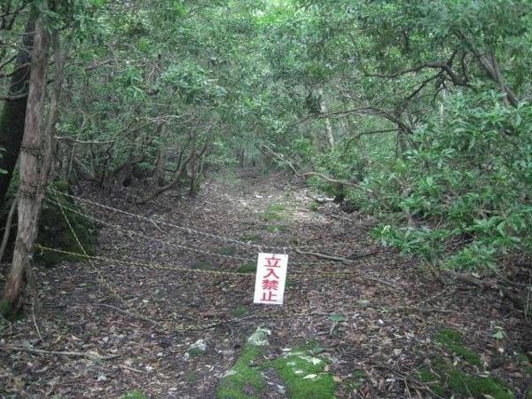 एओकिगाहरा - 60 साल पहले यह जगह आत्महत्या करने वालों के लिए पसंदीदा जगह थी जब सीको मात्सुमोतो की किताब ब्लैक सी ऑफ ट्रीज प्रकाशित हुई थी। इस किताब के पात्र इस जंगल में सामूहिक रूप से आत्महत्या करते हैं। 