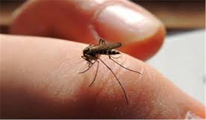 देहरादून में तेजी से पांव पसार रहा डेंगू , 1700 घरों में मिला लार्वा , 4265 मरीज बुखार से पीड़ित