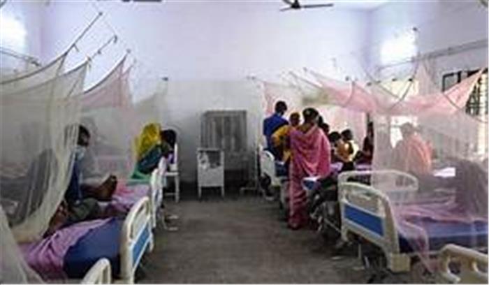 डेंगू के डंक से हलकान हुए लोग , दिल्ली - यूपी - पंजाब - राजस्थान में तेजी से बढ़ रहे मरीज , जानें पूरा हाल


