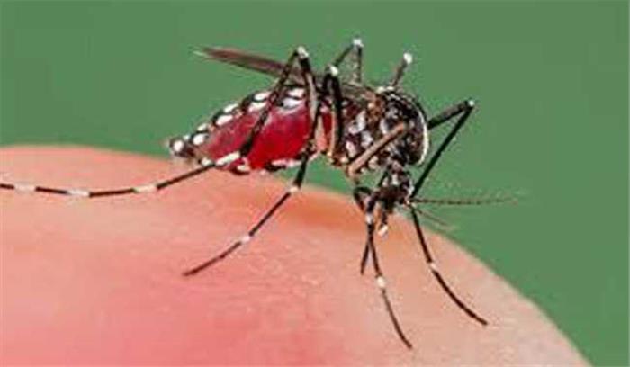 बरसात के आगाज के साथ ही डेंगू का प्रकोप भी हुआ शुरू, स्वास्थ्य विभाग ने शुरू किए रोकथाम के उपाय