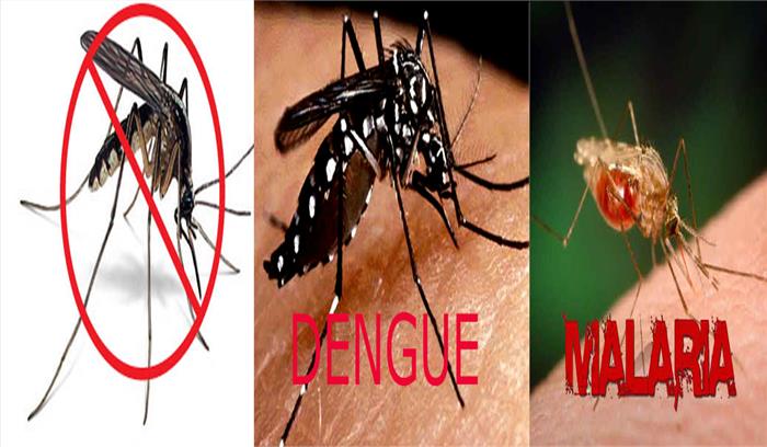 उत्तराखंड में डेंगू और मलेरिया महामारी घोषित, अस्पतालों को देनी होगी रिपोर्ट, अधिसूचना हुई जारी