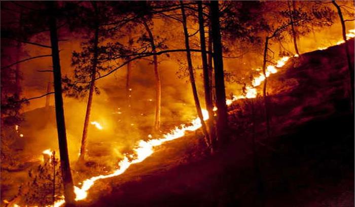 जोशीमठ के जंगलों में लगी भीषण आग, स्थानीय लोगों के साथ वन विभाग भी आग बुझाने में जुटा
