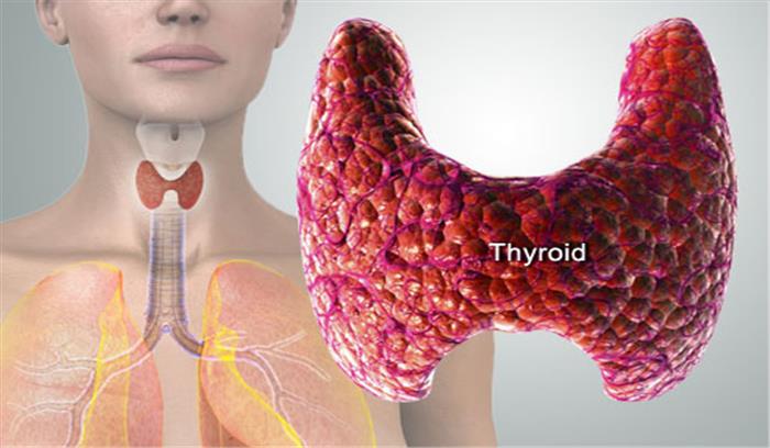 तेजी से बढ़ती बीमारी थाइराइड के पहचानें लक्षण और घरेलू उपाय से करें उपचार
