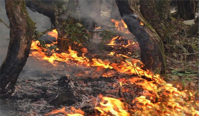 अब नासा की मदद से बुझाई जाएगी जंगल की आग, उपग्रह से मिले चित्रों के आधार पर होगी कार्रवाई