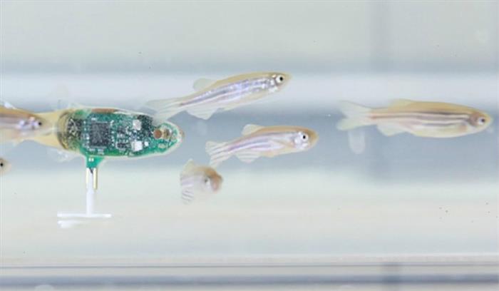 अब आप पानी के अंदर रहने वाले जीवों के बारे में भी जान पाएंगे, वैज्ञानिकों ने तैयार किया रोबोट