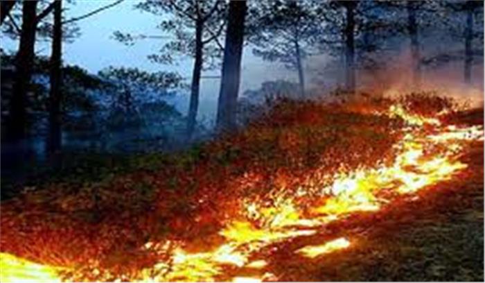 उत्तराखंड - जंगलों में फैली आग के बीच वन सेवा के आला अफसर स्टडी टूर पर विदेश रवाना , ग्रामीणों से लगाई मदद की गुहार
