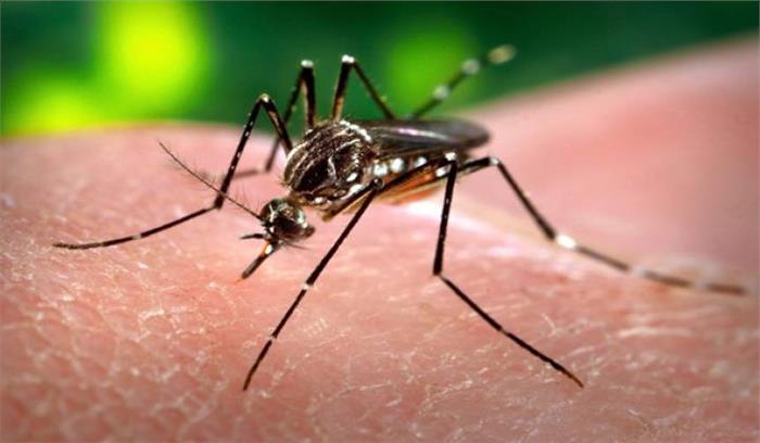 सावधान - सुपर मलेरिया भारत के लिए नया खतरा, एशियाई देशों में सुपरबग पर नहीं किसी दवा का असर