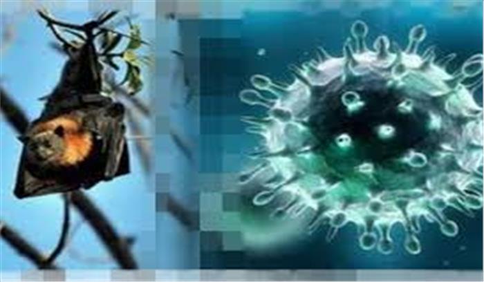 अब उत्तराखंड में निपाह वायरस को लेकर जारी किया गया अलर्ट, अधिकारियों को तैयार रहने के निर्देश 