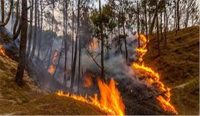 उत्तराखंड में 160 जगहों पर जंगल धधक रहे , अब तक 1840 हेक्टेयर क्षेत्र में वन संपदा को भारी क्षति   
