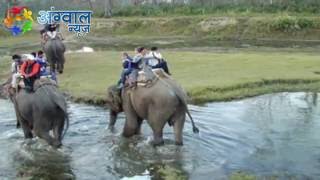 वाइल्ड लाइफ करेंगे हाथी की सफारी